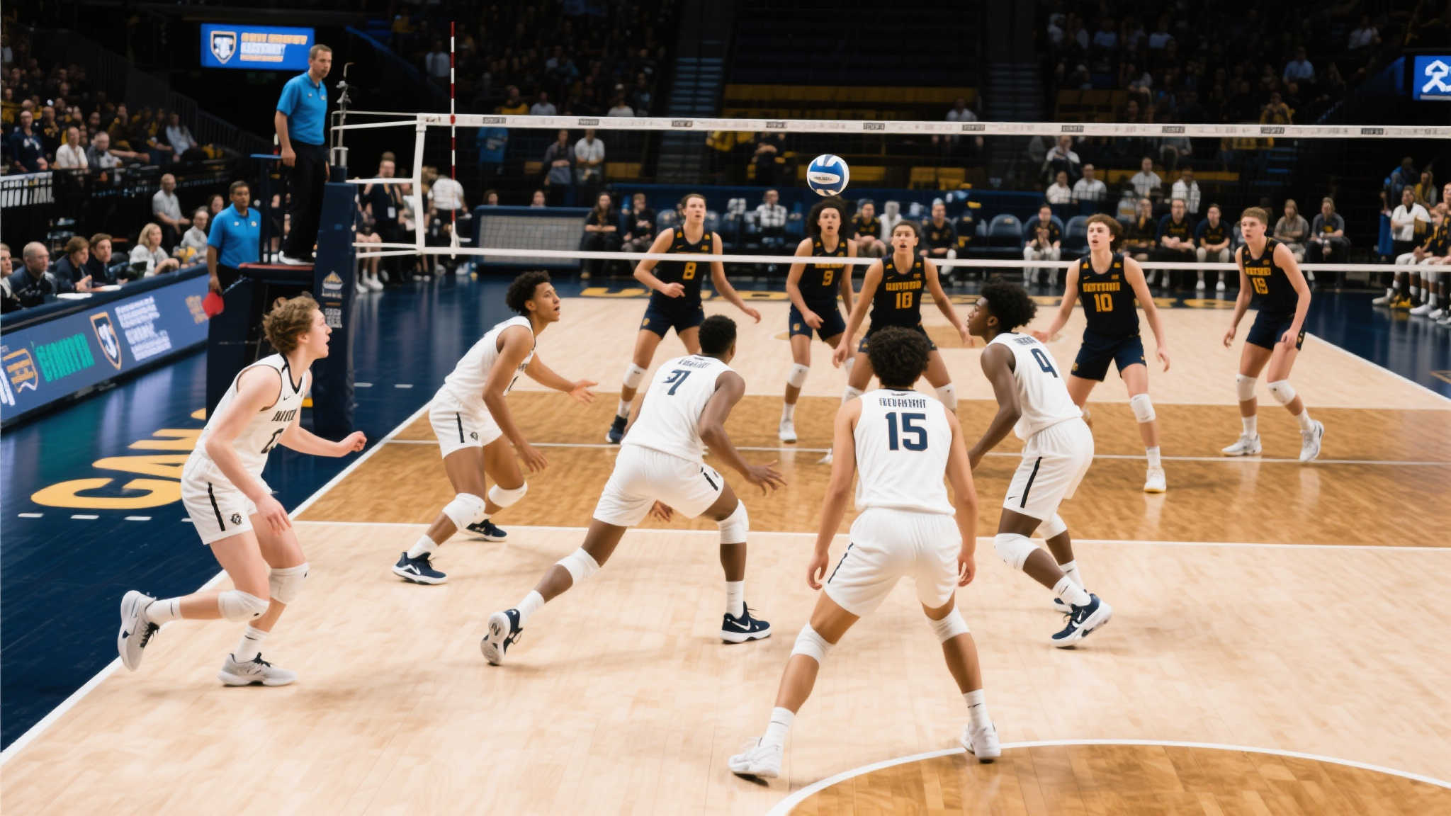 北大男篮重登CUBAL之巅，六年磨一剑再创辉煌